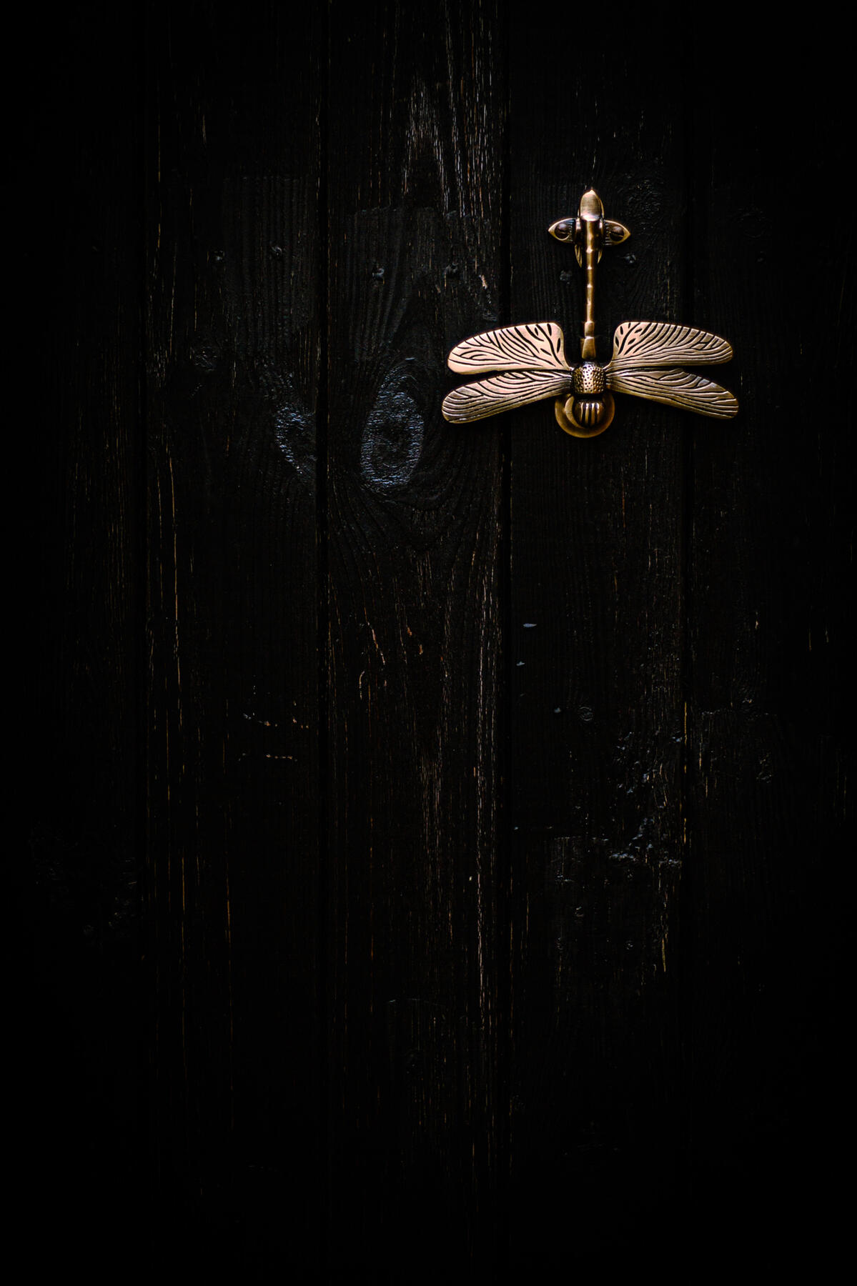 Through the Black Gate